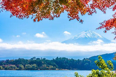 Dağ fuji ile akçaağaç yaprağı ağacın etrafında güzel manzara