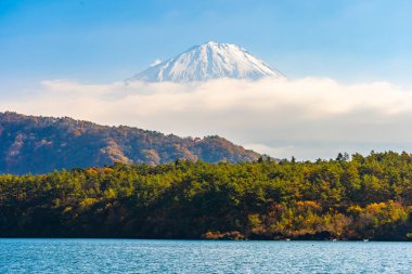 Dağ fuji ile akçaağaç yaprağı ağacın etrafında güzel manzara