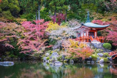 Renkli ağaç ve yaprak sonbahar sezonu Kyoto Japonya ile güzel Daigoji Tapınağı