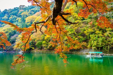 Akçaağaç ağaç yaprak ve sonbahar sezonu Kyoto Japonya göl etrafında tekne ile güzel Arashiyama Nehri
