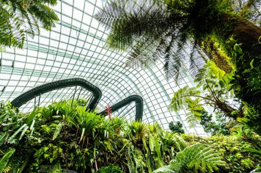 Çiçek kubbe Bahçe ve sera orman landmark Singapur City seyahat için bina güzel mimari