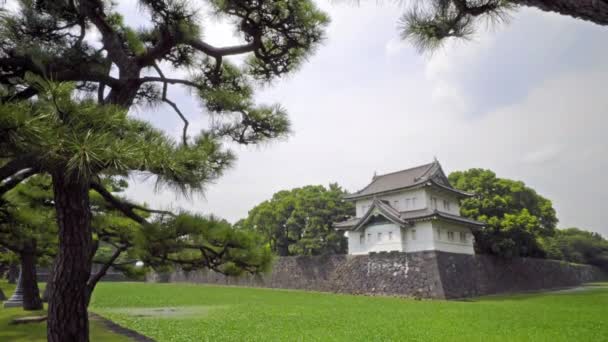 Vyhlídkové Záběry Nádherné Tradiční Japonské Pagody — Stock video