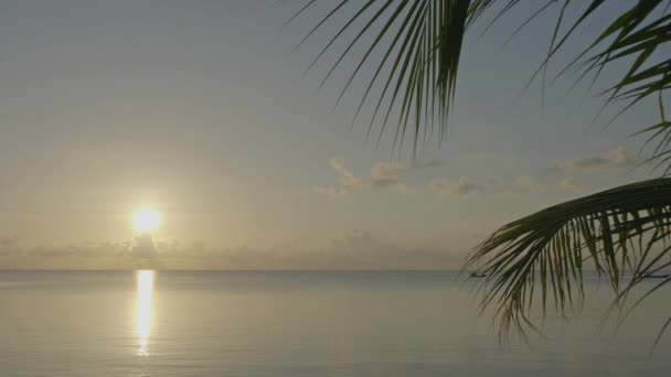 Günbatımı Güzel Dalgalı Denizde Sakin Görüntüleri — Stok video