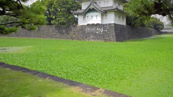 Vyhlídkové Záběry Nádherné Tradiční Japonské Pagody — Stock video