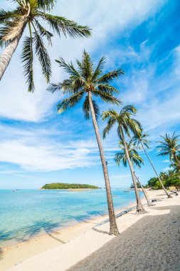 Güzel tropikal plaj deniz ve kum mavi gökyüzü ve beyaz bulut seyahat ve tatil için Hindistan cevizi hurma ağacı ile