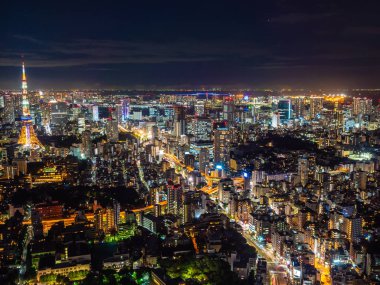 Tokyo şehrinde geceleri mimarisi ve binası olan güzel bir şehir.