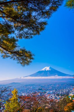 Güzel manzara dağ fuji akçaağaç yaprağı ağaç beyaz bulut ve Yamanashi Japonya sonbahar sezonu mavi gökyüzü ile çevresinde