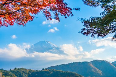 Güzel manzara dağ fuji göl Yamanashi Japonya akçaağaç ağaç yaprak ile