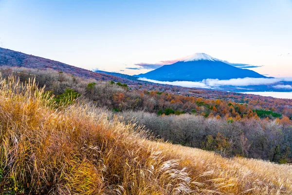 Bela Paisagem Montanha Fuji Yamanakako Lago Yamanaka Temporada Outono Japão — Fotografia de Stock