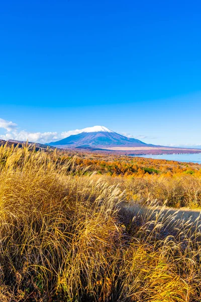 秋の季節に日本の山中湖や山中湖の富士山の美しい風景 — ストック写真