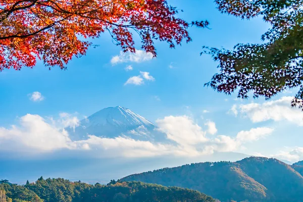 Bellissimo Paesaggio Montagna Fuji Con Acero Foglia Intorno Lago Yamanashi — Foto Stock