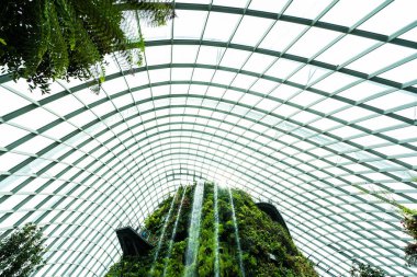 Çiçek kubbe Bahçe ve sera orman landmark Singapur City seyahat için bina güzel mimari