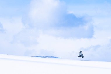 Güzel açık doğa manzara ve kış Kar sezonu kopya alanı ile Noel ağacı