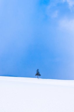 Güzel açık doğa manzara ve kış Kar sezonu kopya alanı ile Noel ağacı