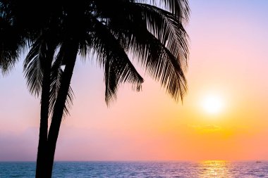 Güzel siluet Hindistan cevizi hurma ağacı gökyüzü neary deniz okyanus plaj tatil için günbatımı veya gündoğumu zaman seyahat ve tatil kavramı