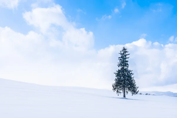 Hermoso Paisaje Naturaleza Aire Libre Con Solo Árbol Navidad Nieve — Foto de Stock