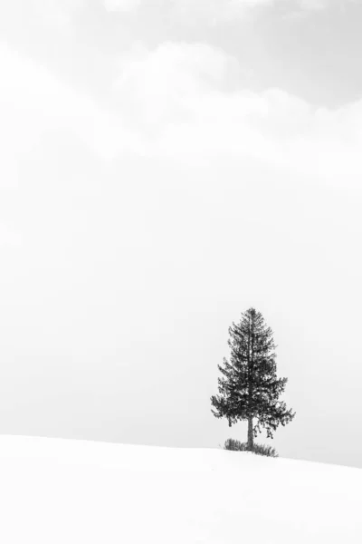 Schöne Outdoor Landschaft Mit Einsamen Weihnachtsbaum Schnee Wintersaison Verarbeitung Schwarz — Stockfoto