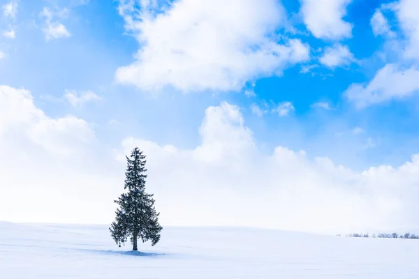 Hermoso Paisaje Naturaleza Aire Libre Con Solo Árbol Navidad Nieve — Foto de Stock