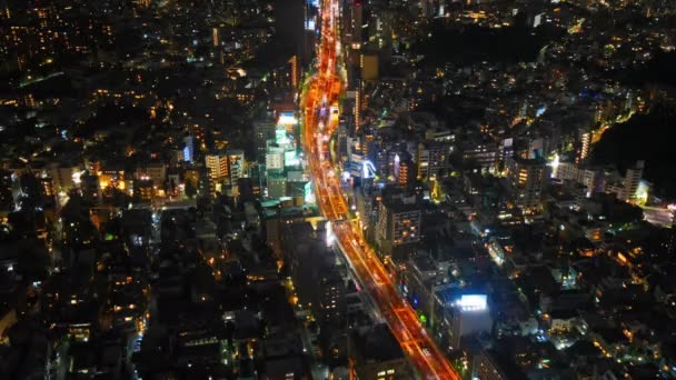 Time Lapse Filmato Bella Moderna Città Asiatica Notte — Video Stock