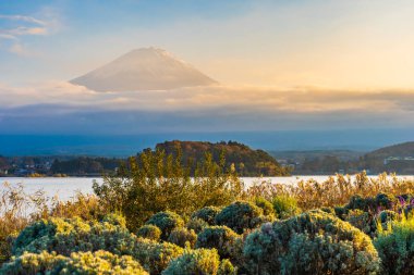 Dağ fuji akçaağaç yaprağı ağaç göl günbatımı zaman Yamanashi Japonya sonbahar sezonu ile güzel manzara