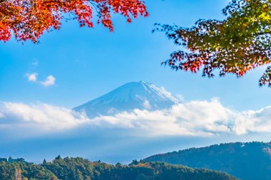 Güzel manzara dağ fuji göl Yamanashi Japonya akçaağaç ağaç yaprak ile