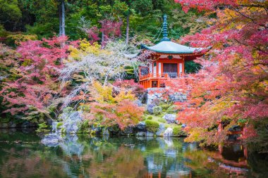 Renkli ağaç ve yaprak sonbahar sezonu Kyoto Japonya ile güzel Daigoji Tapınağı
