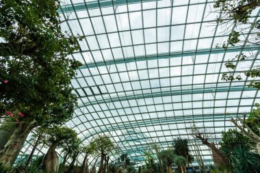 Çiçek kubbe Bahçe ve sera orman landmark Singapur City seyahat için bina güzel mimari