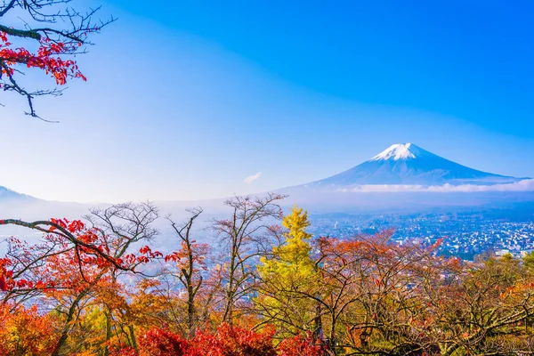 Beau Paysage Fuji Montagne Autour Érable Avec Nuage Blanc Ciel — Photo