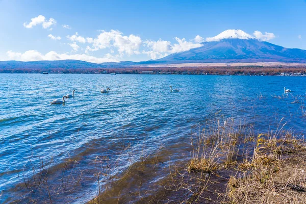 Όμορφο Τοπίο Του Βουνού Fuji Γύρω Από Την Ιαπωνία Στη — Φωτογραφία Αρχείου