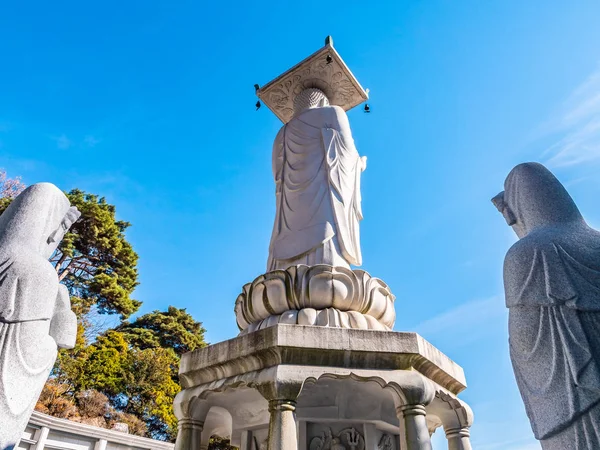 Krásný Buddhismus Socha Bongeunsa Temple City Soul Jižní Korea — Stock fotografie