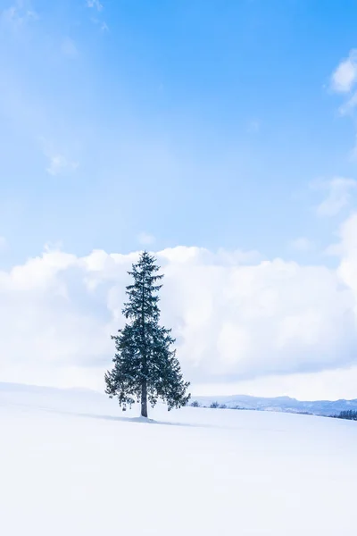 Beautiful Outdoor Nature Landscape Alone Christmass Tree Snow Winter Weather — Stock Photo, Image