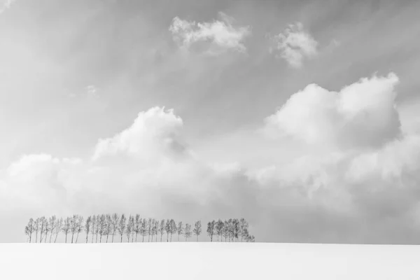 雪冬シーズン北海道 黒と白の色を処理で木の枝のグループと美しい屋外の自然風景 — ストック写真