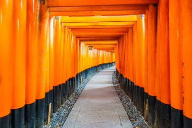 Güzel fushimi Inari tapınak tapınak Kyoto