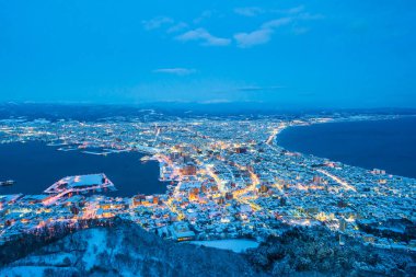 Güzel manzara ve şehir manzarası kurma ve mimari etrafa gece için gelen dağ Hakodate cityscape
