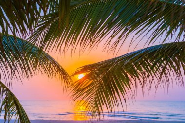 Seyahat ve tatil dinlenmek için gündoğumu veya günbatımı saati ile hindistan cevizi yaprağı ile güzel açık doğa