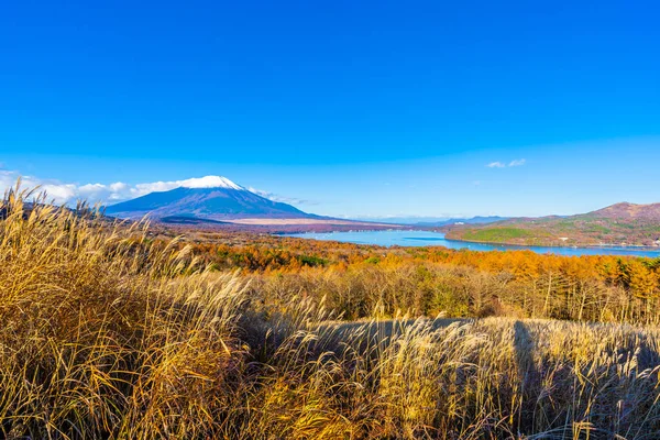 Yamanakako ya da yamanaka göl güzel fuji Dağı — Stok fotoğraf