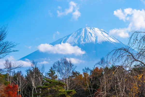 Bellissimo paesaggio di montagna fuji con acero foglia intorno — Foto Stock