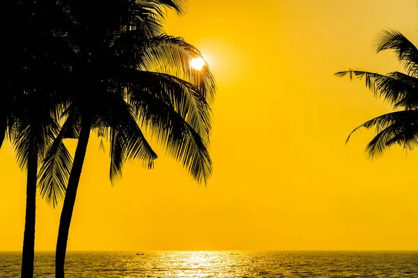Schöne Silhouette Kokospalme Himmel Meer Ozean Strand Bei Sonnenuntergang Oder — Stockfoto