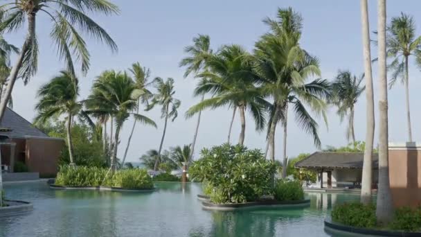 Imagens Cênicas Piscina Resort — Vídeo de Stock