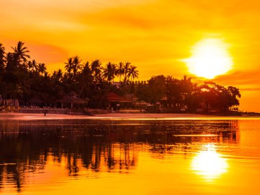 Güzel tropikal plaj deniz ve okyanus ile Hindistan cevizi hurma ağacı gündoğumu zaman seyahat ve tatil için