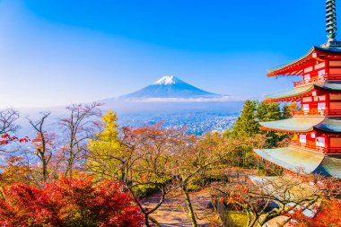 Dağ fuji chureito pagoda akçaağaç ağaç yaprak sonbahar sezonu Yamanashi Japonya çevresinde ile güzel manzara