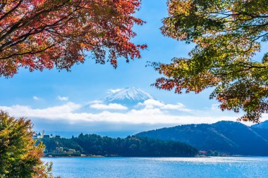 Dağ fuji akçaağaç yaprağı ağaç göl sonbahar sezonu ile güzel manzara