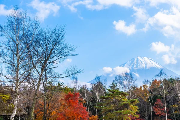 Prachtige Landschap Van Berg Fuji Met Esdoorn Blad Rond Lake — Stockfoto