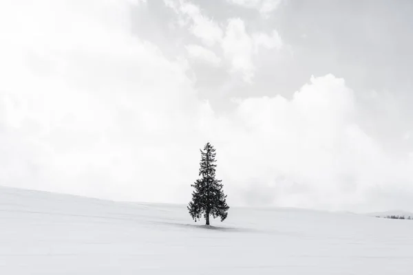 空と雲と雪の冬の天気シーズンで単独で人工クリスマス ツリーと美しい屋外の自然風景 — ストック写真