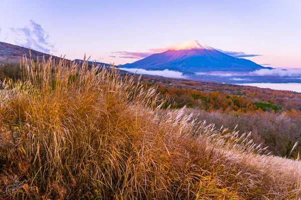 Bela Paisagem Montanha Fuji Yamanakako Lago Yamanaka Temporada Outono Japão — Fotografia de Stock