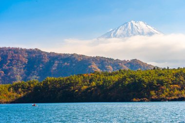 Dağ fuji sonbahar sezonu Yamanashi Japonya Gölü çevresinde ağaç yaprak tekne ve akçaağaç ile güzel manzara