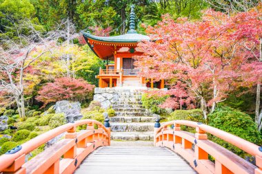 Renkli ağaç ve yaprak sonbahar sezonu Kyoto Japonya ile güzel Daigoji Tapınağı