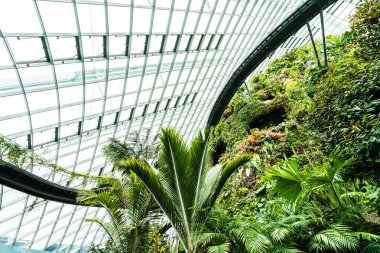 Çiçek kubbe Bahçe ve sera orman landmark Singapur City seyahat için bina güzel mimari