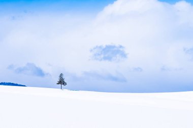 Güzel açık doğa manzara ve kış Kar sezonu kopya alanı ile Noel ağacı
