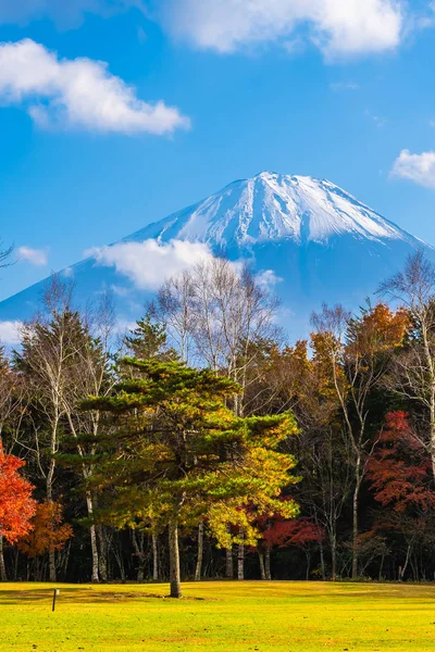 Bellissimo Paesaggio Montagna Fuji Con Acero Foglia Intorno Lago Nella — Foto Stock